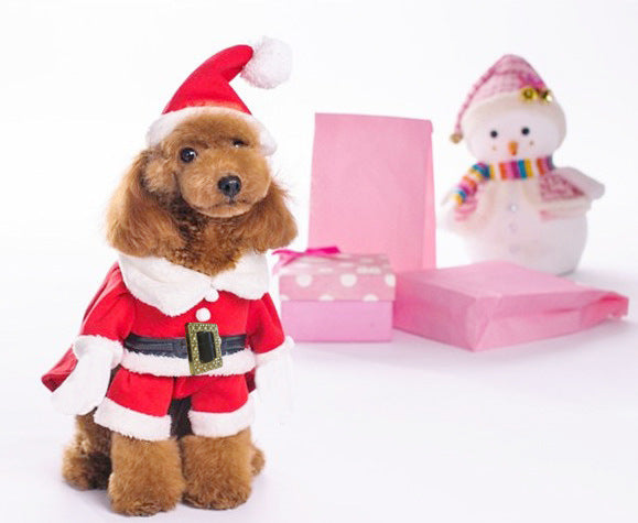 Christmas Dog Clothes