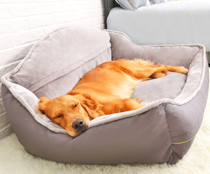 Big Dog Bed