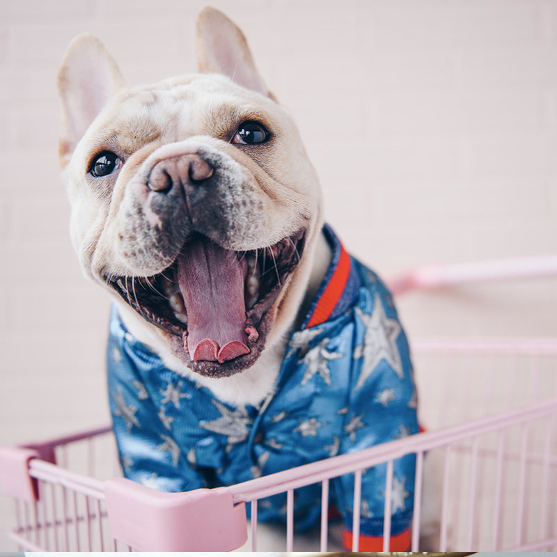 Dog Creative Clothes