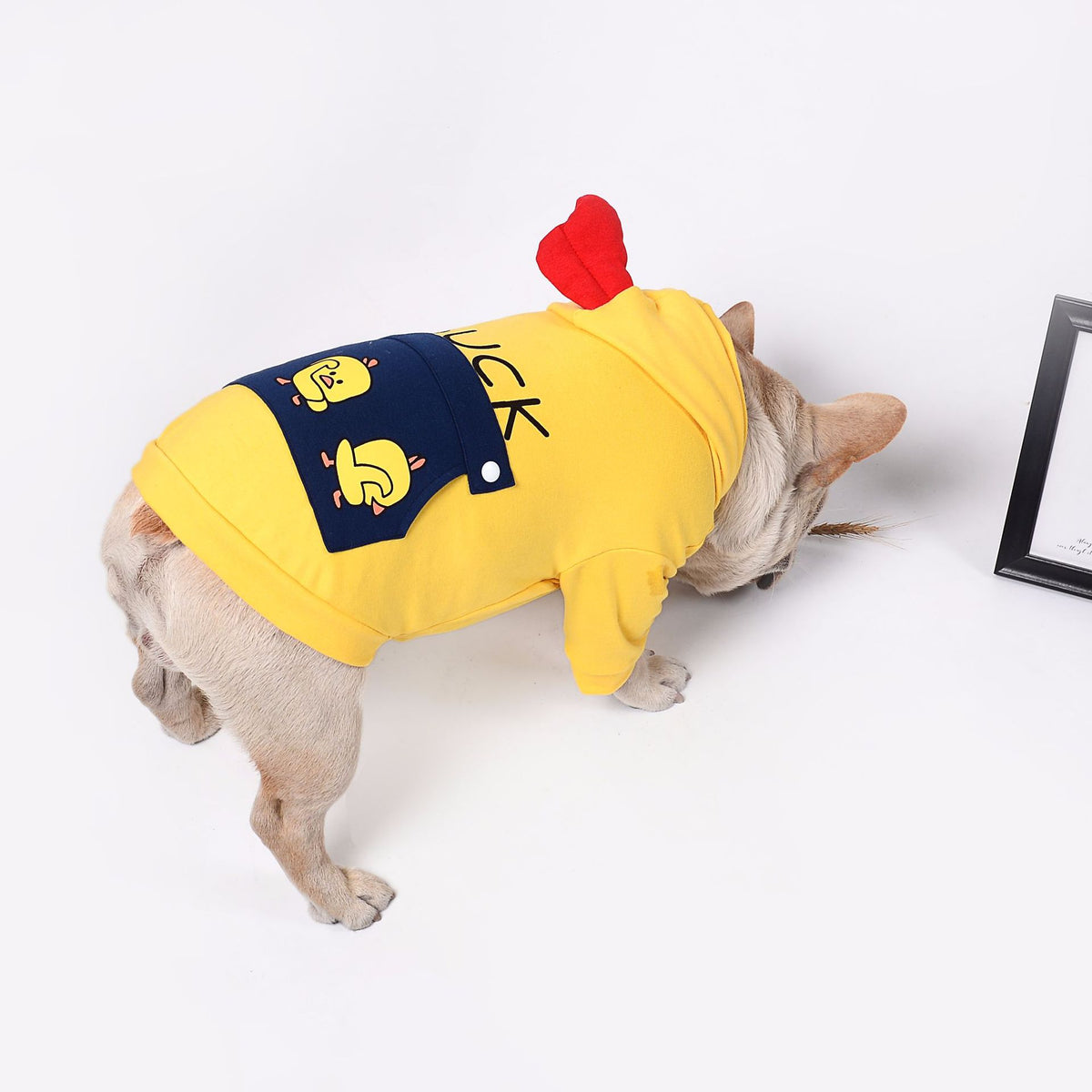 Funny Dog Clothes