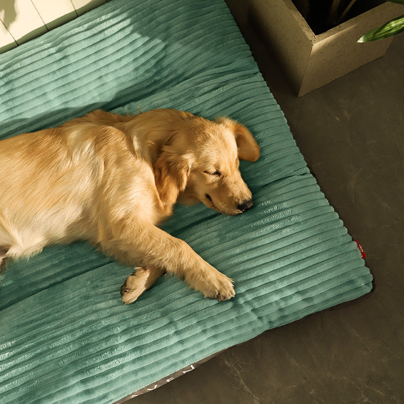 Nice Dog Bed