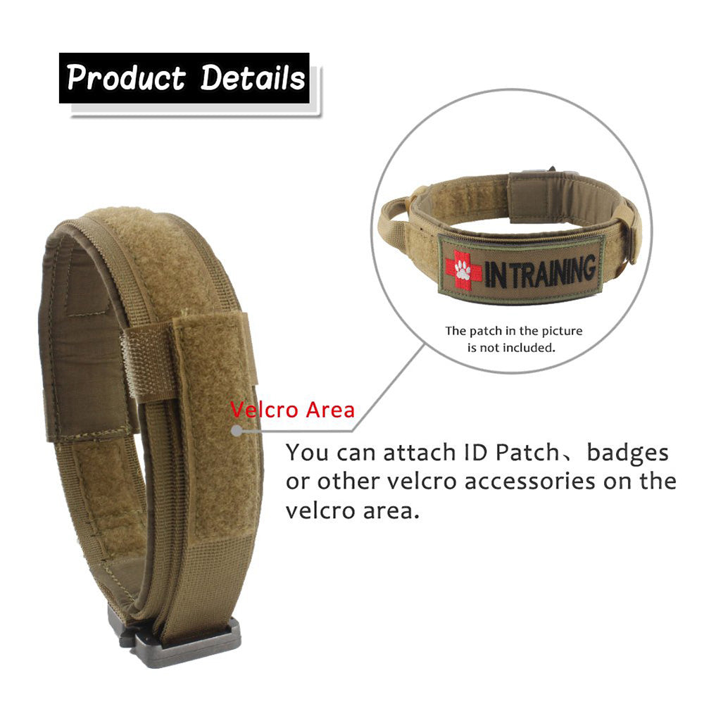 Dog Collar
