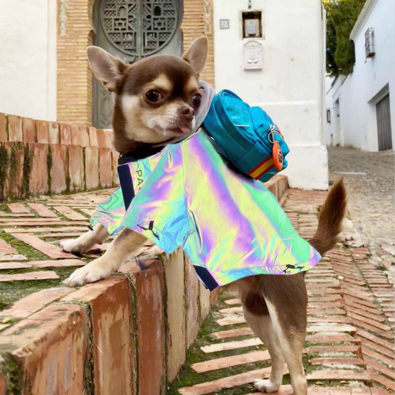 Microcrystalline Reflective Dog Clothes