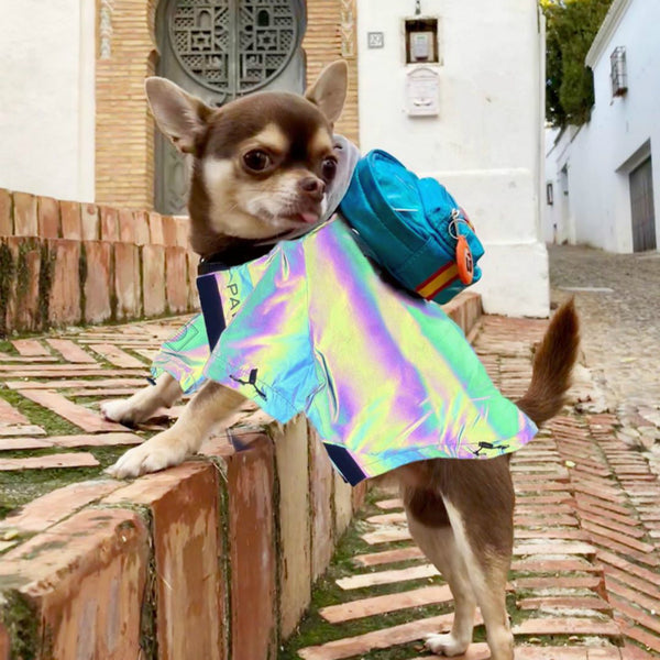 Microcrystalline Reflective Dog Clothes