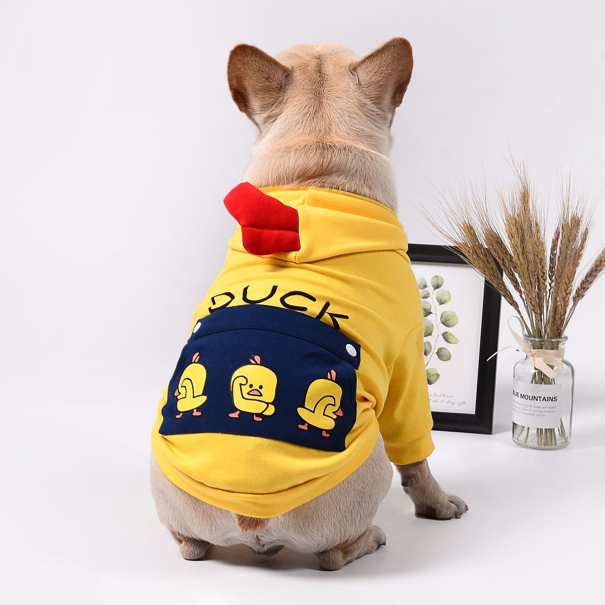 Funny Dog Clothes