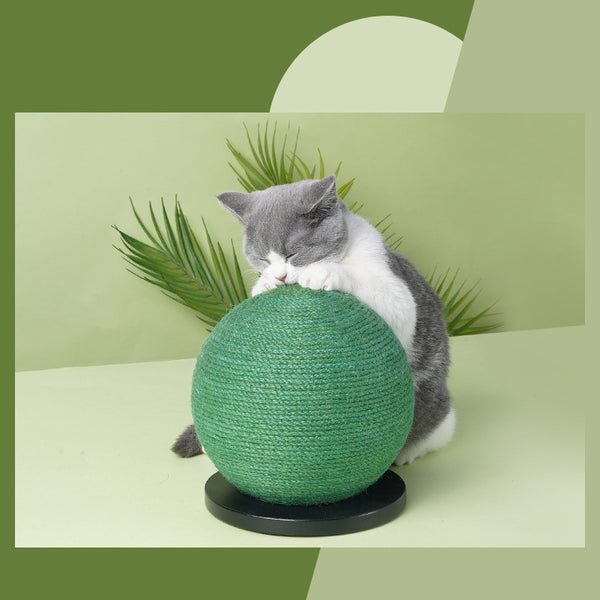 Cat Scratching Ball