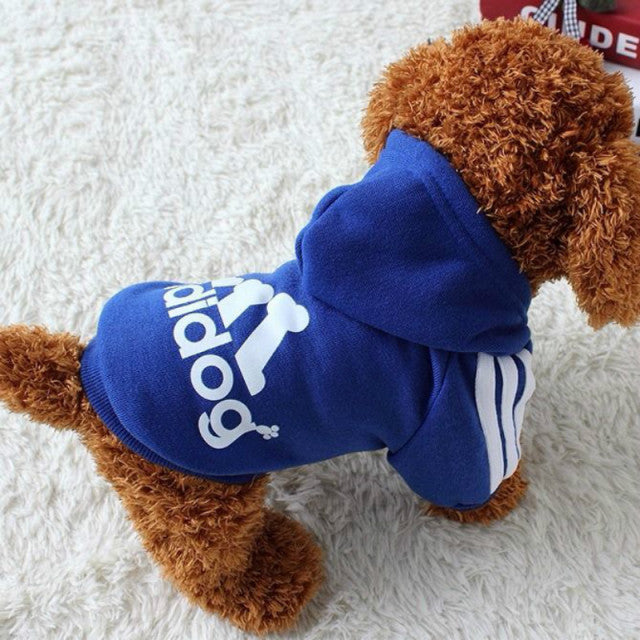 Dog Sweatshirt