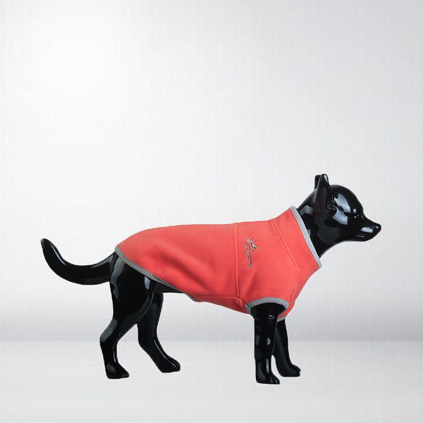 Dog Clothes
