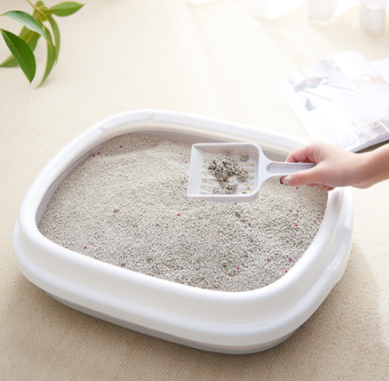 Cat Litter Box