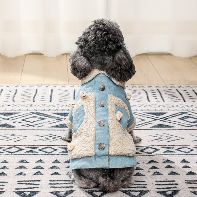 Teddy Dog Clothes