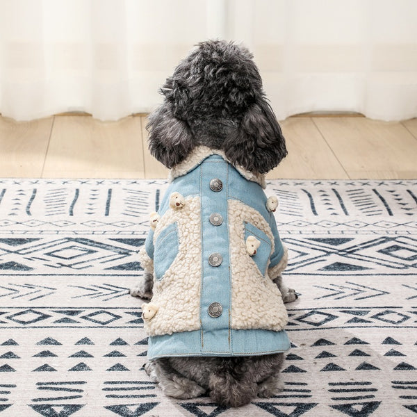 Teddy Dog Clothes