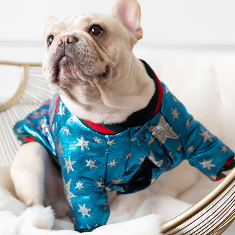 Dog Creative Clothes