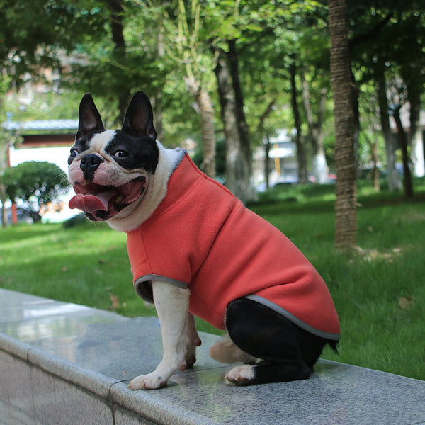Dog Clothes