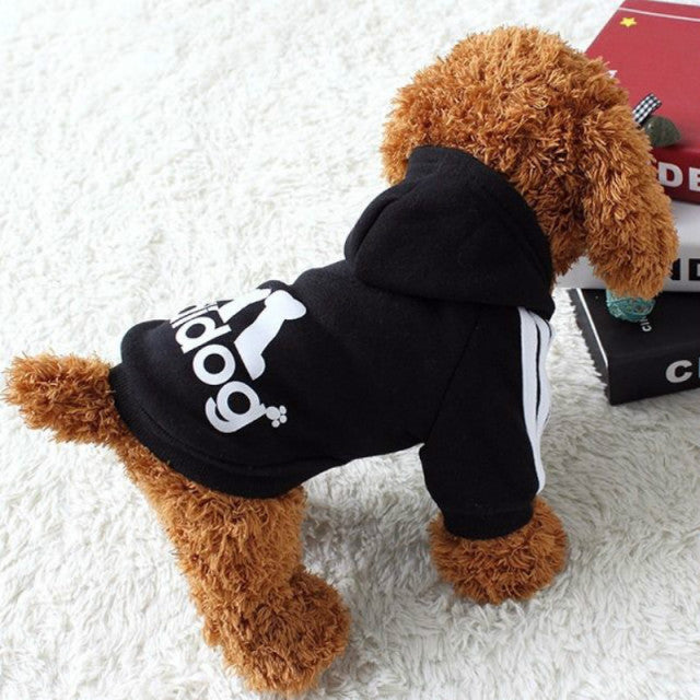 Dog Sweatshirt