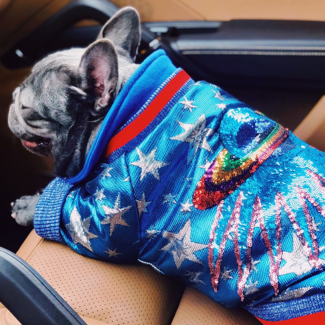 Dog Creative Clothes