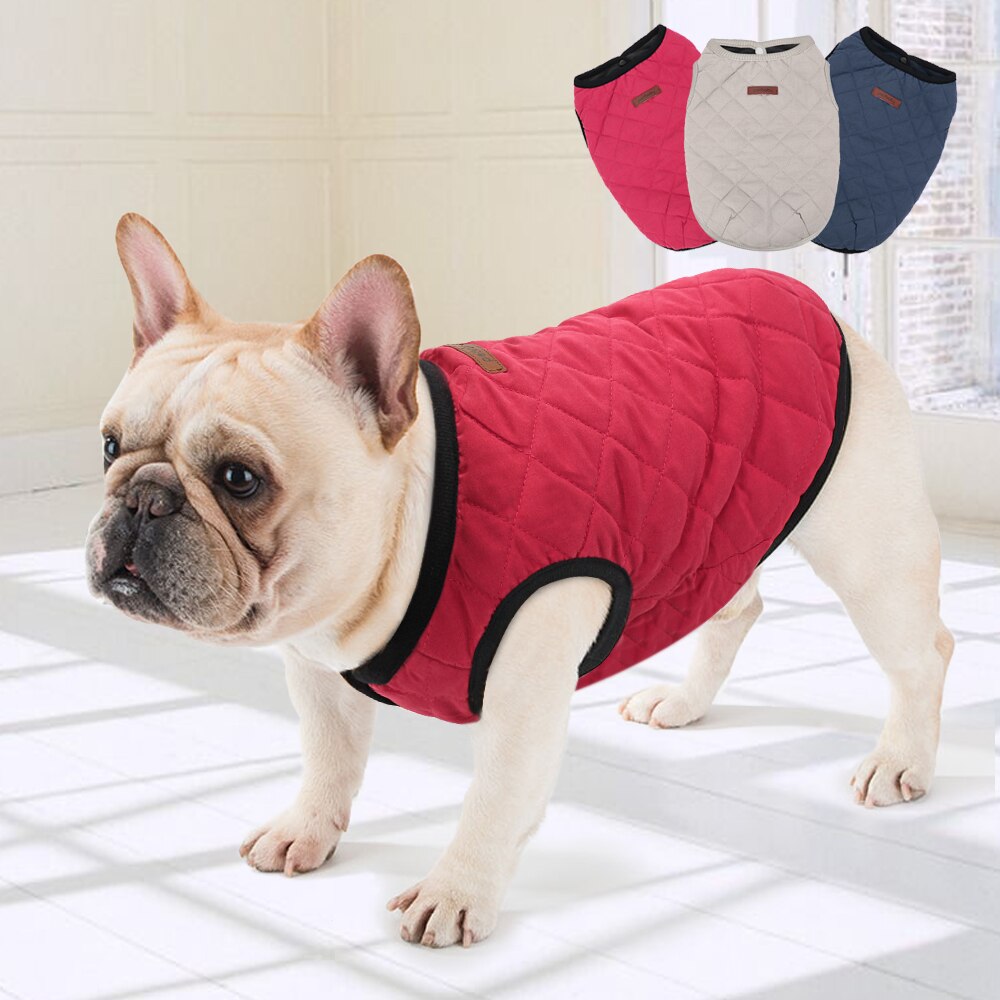 Dog Vest