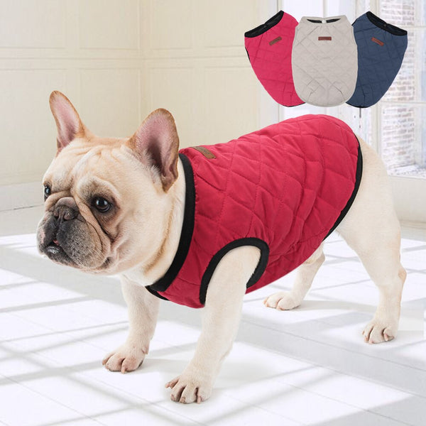 Dog Vest