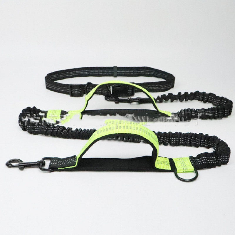 Pet Body Leash