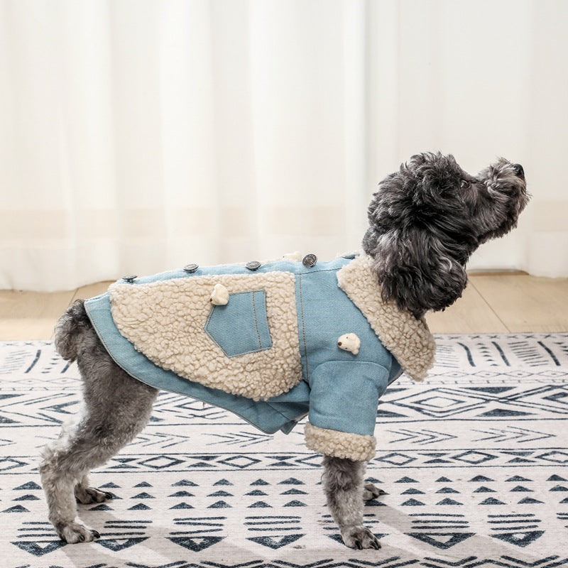 Teddy Dog Clothes