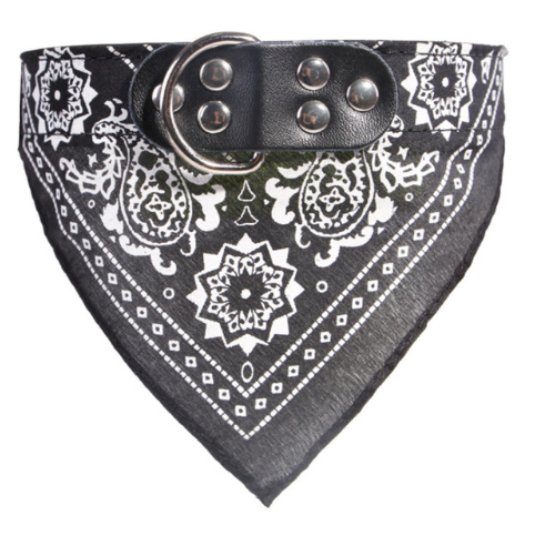 Leather Dog Collar