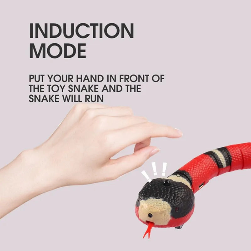 Electronic Snake Toy