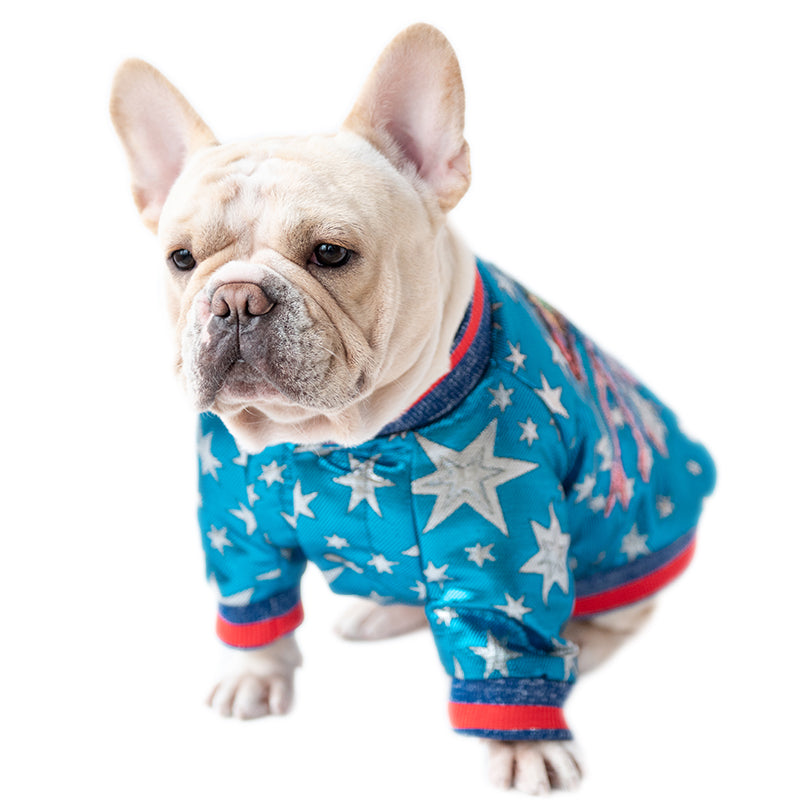 Dog Creative Clothes