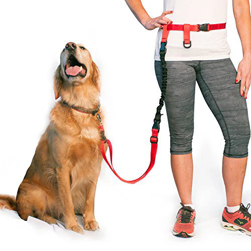 Pet Body Leash