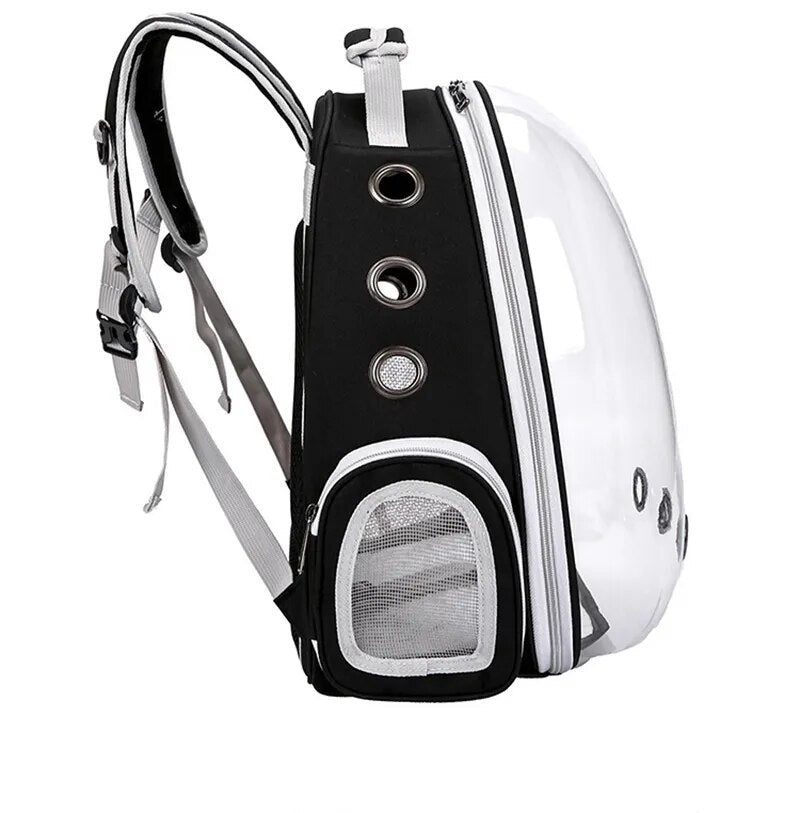 Cat Carrying Bag