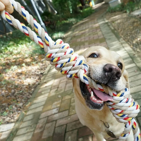 Dog Molar Toy