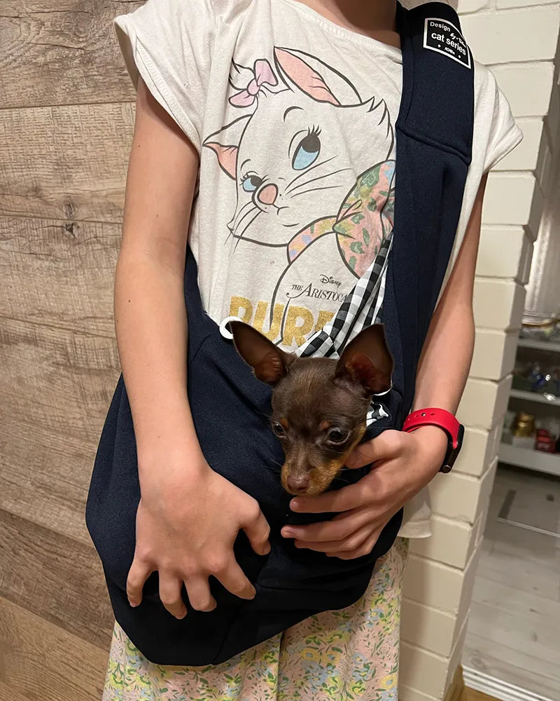 Pet Bag Carrier