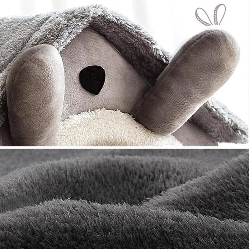 Indoor Dog House