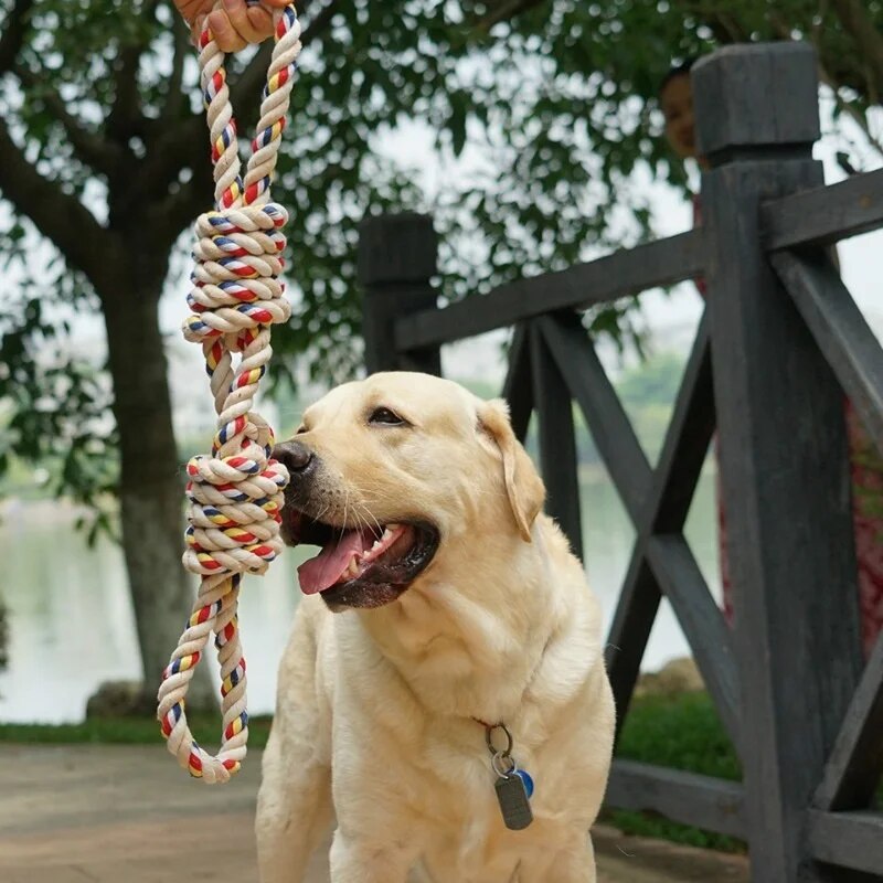 Dog Molar Toy