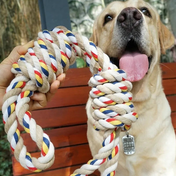 Dog Molar Toy