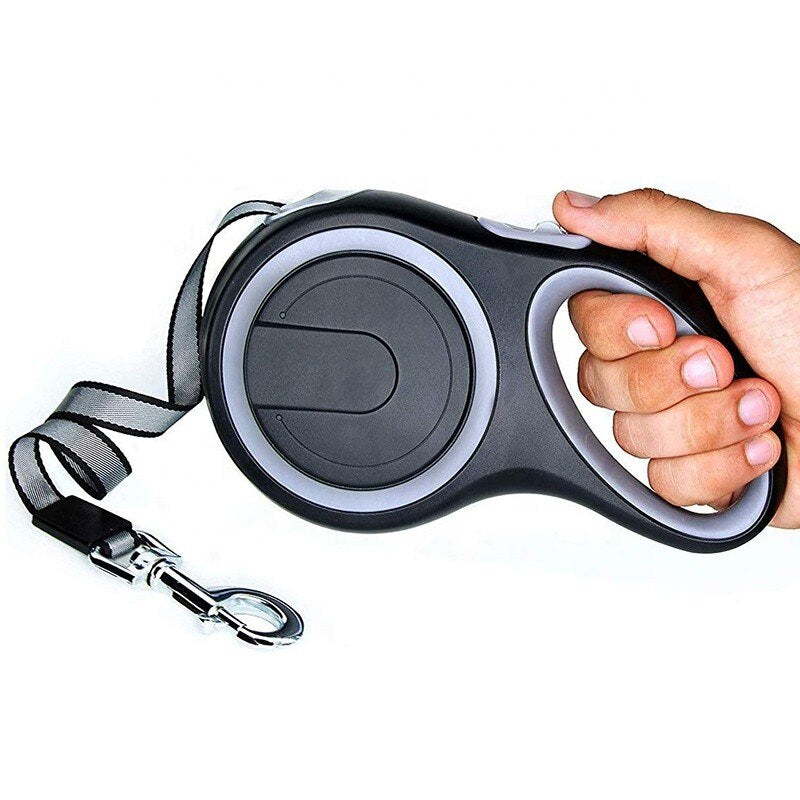 Dog Leash