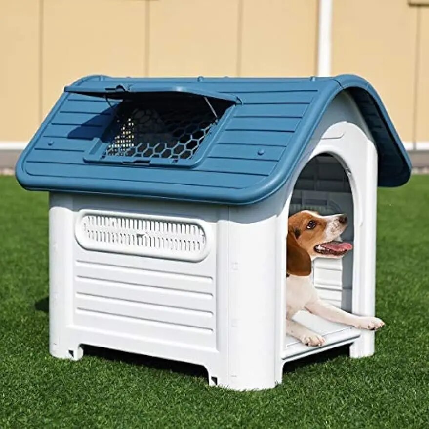 Dog House