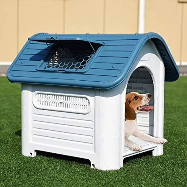 Dog House