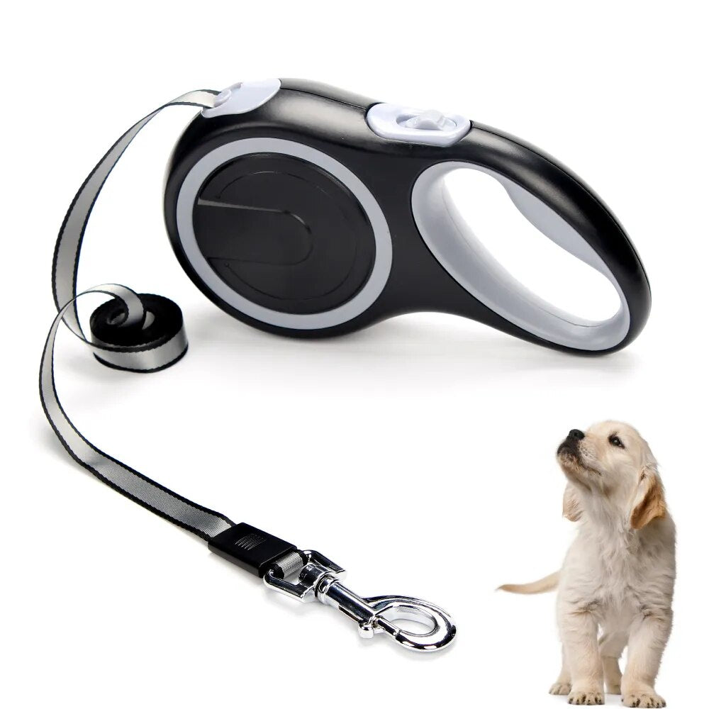 Dog Leash
