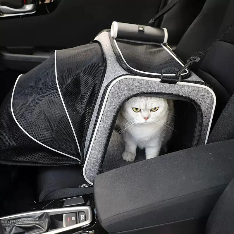 Foldable Pet Carrier Bag