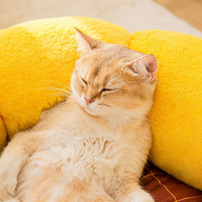 Cute Pet Nest