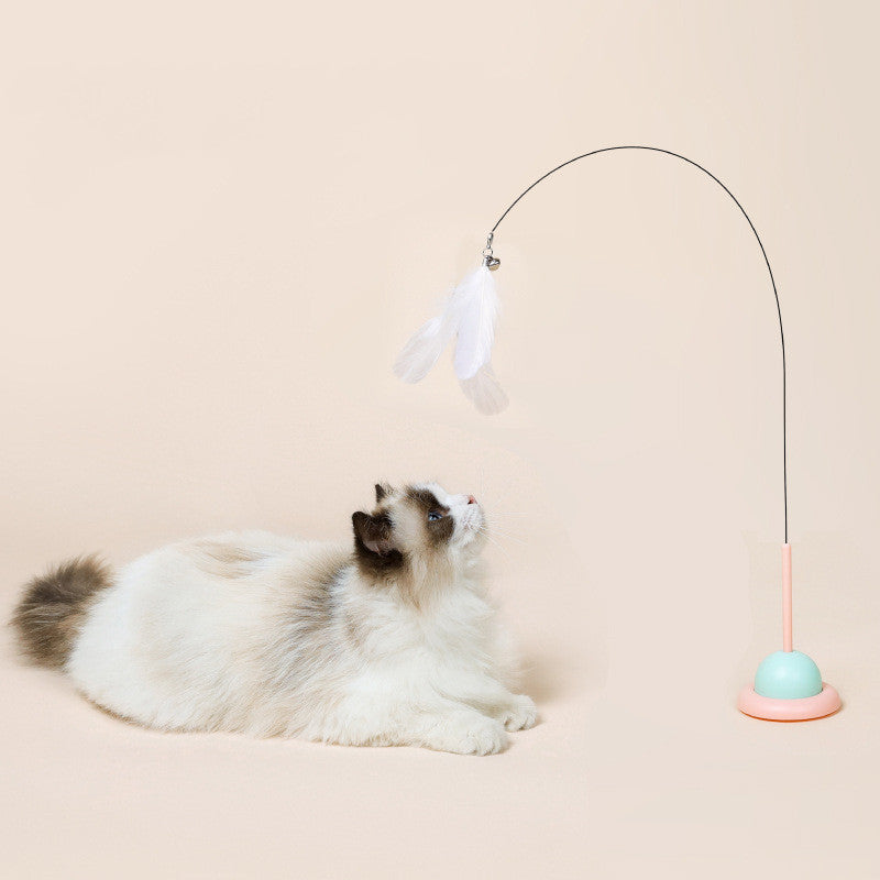 Cat Toy
