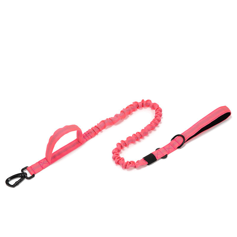K9 Dog Collar