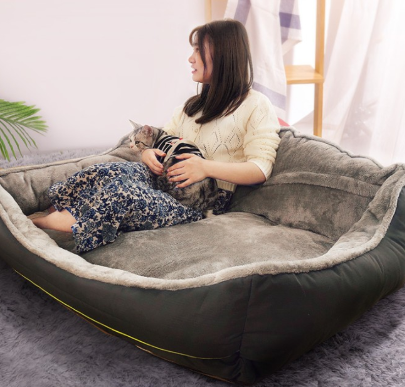 Big Dog Bed
