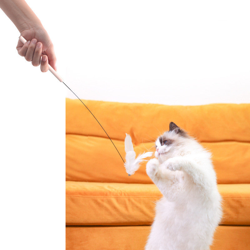 Cat Toy