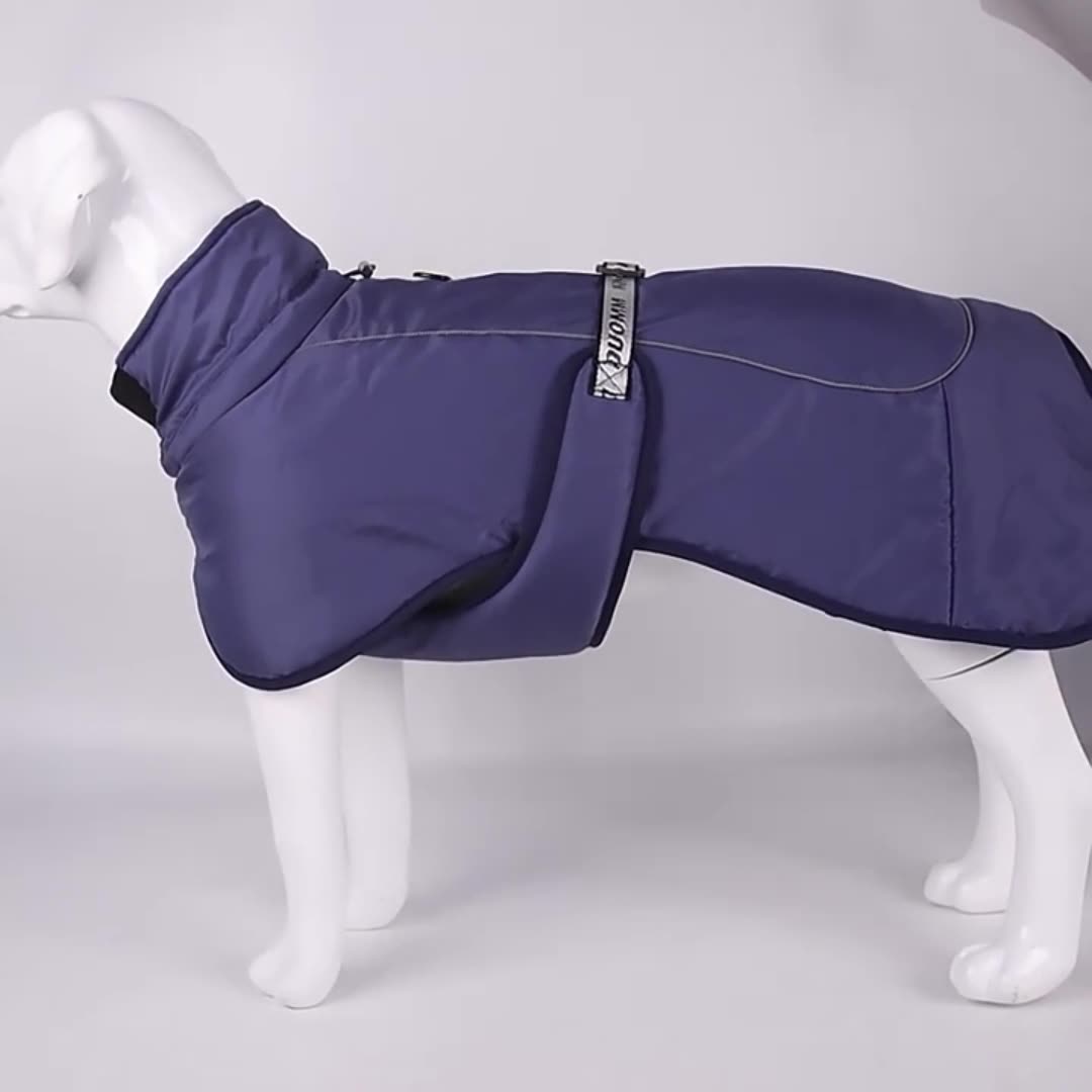 Dog Autumn Clothes
