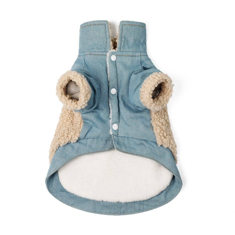 Teddy Dog Clothes