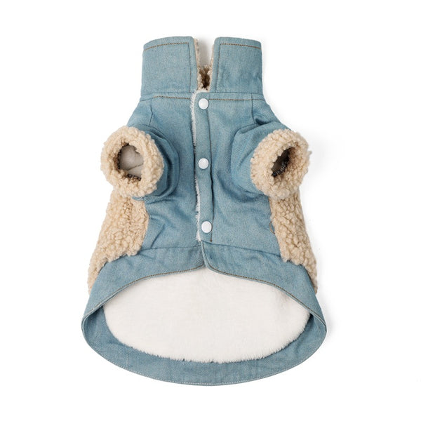 Teddy Dog Clothes