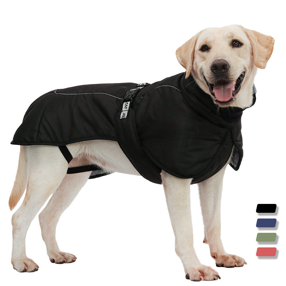 Dog Autumn Clothes