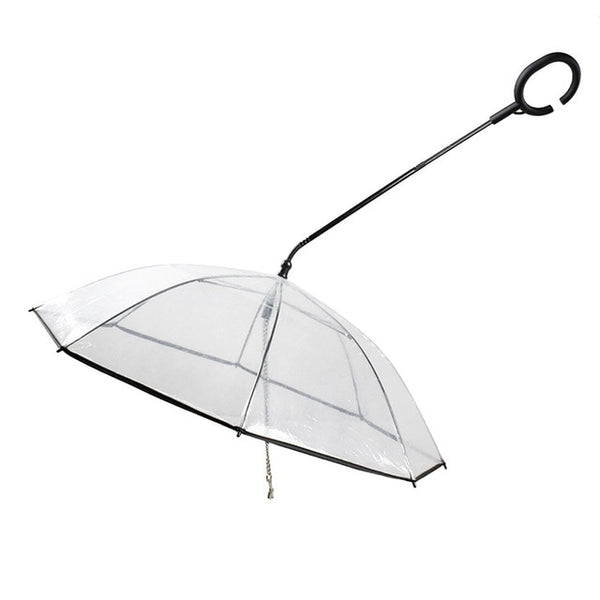 Transparent Umbrella