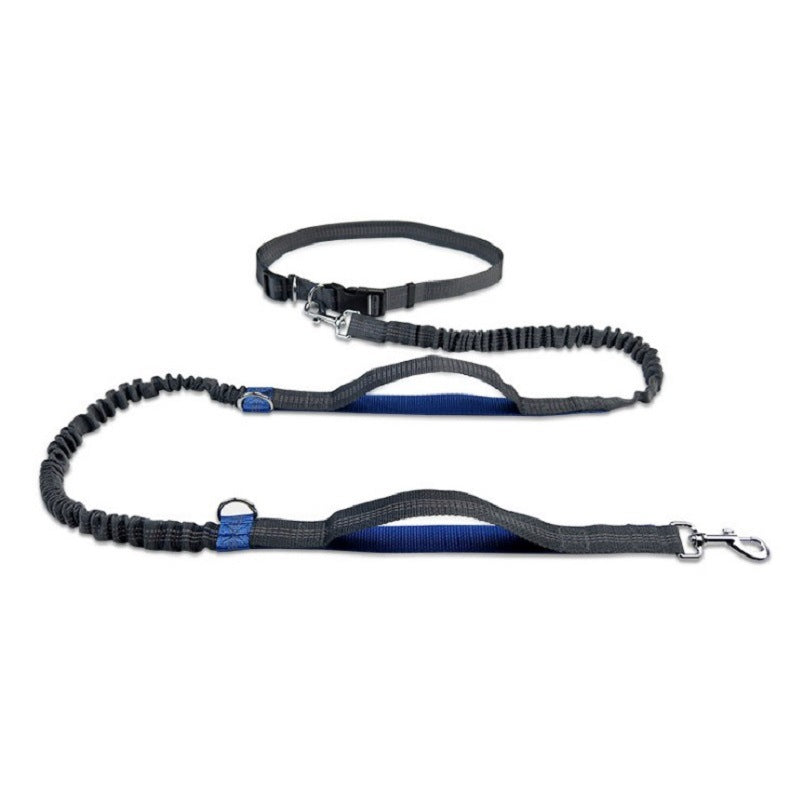 Pet Body Leash