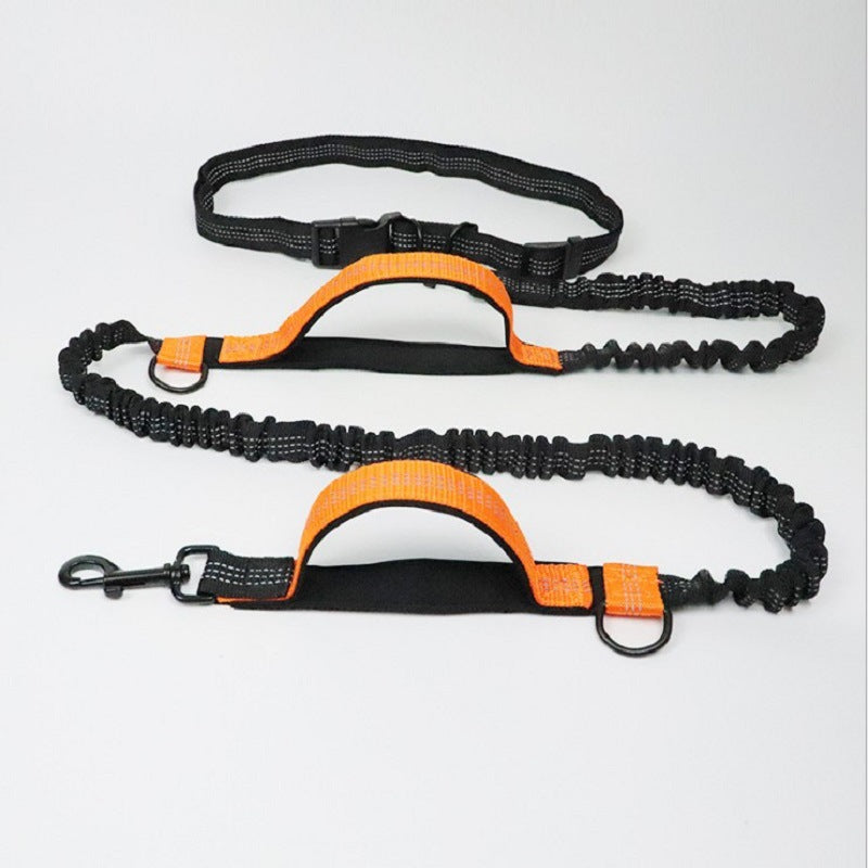 Pet Body Leash